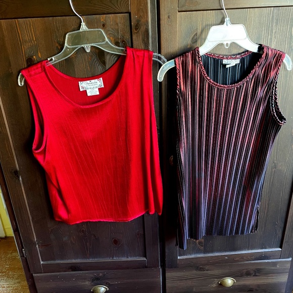 Sophisticates/Notations Tops - PRICE DROP! Shimmery, Stylish Tops for Fall /Holidays - Set of 2!